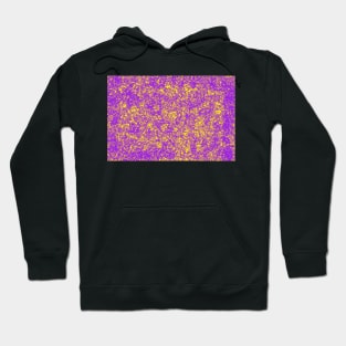 Purple & Yellow Sponge Paint Mess Hoodie